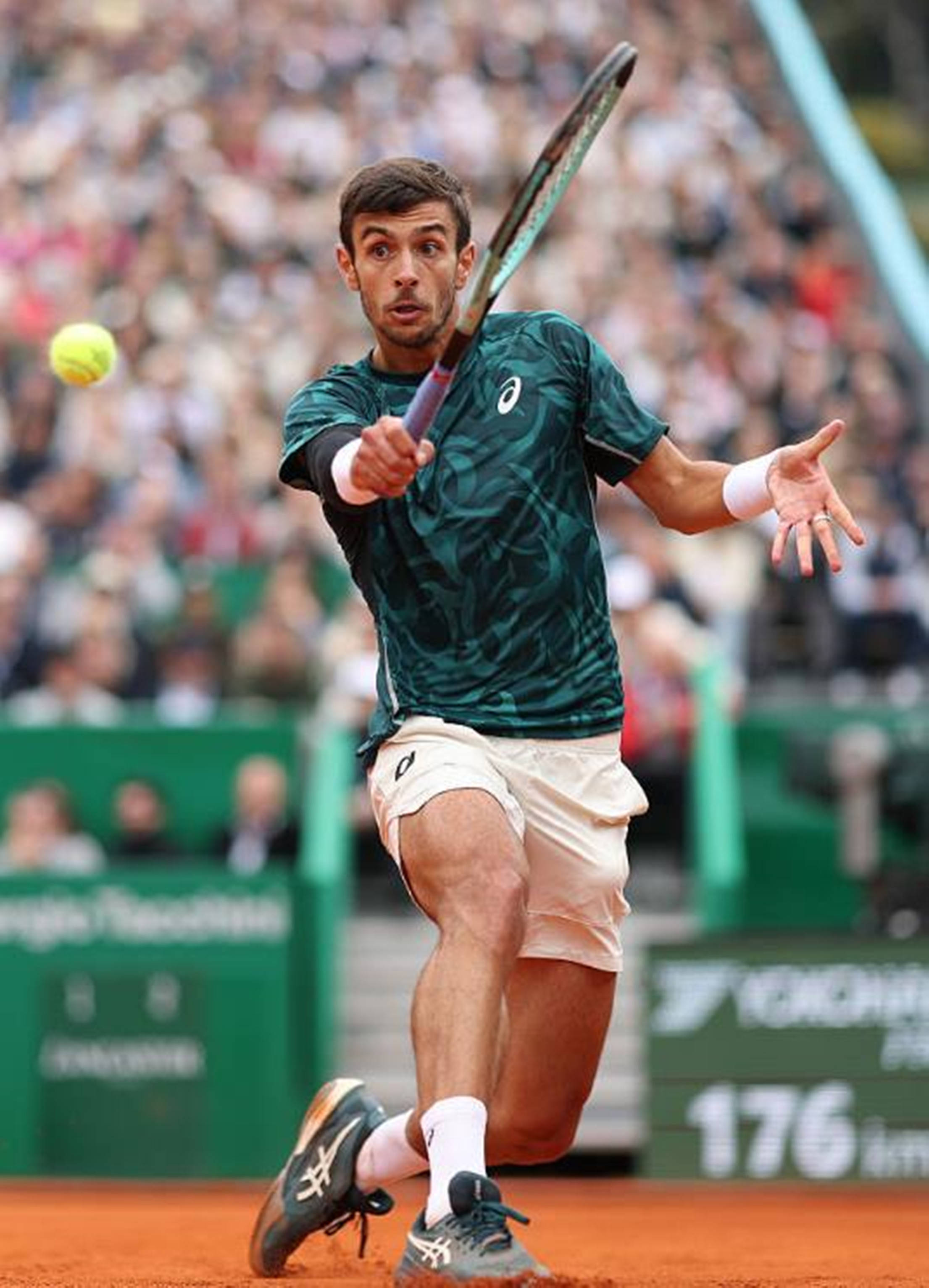 发挥了重要 发挥了重要