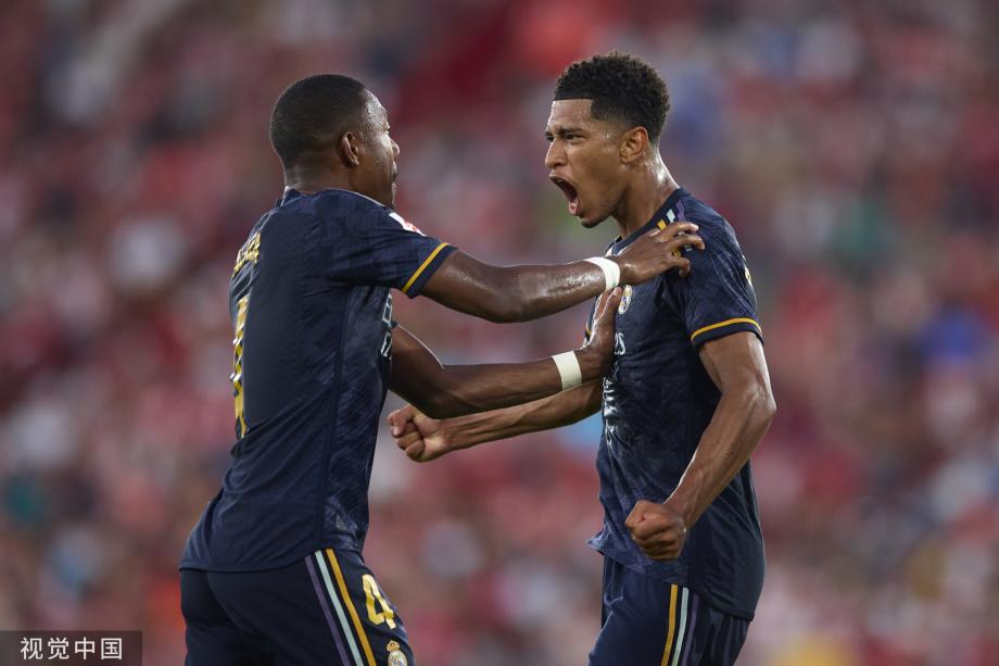 碍主要是技 碍主要是技